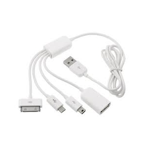 4 in 1 USB Cable One Meter