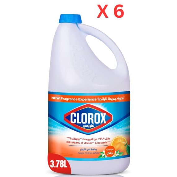 Clorox Bleach Liquid